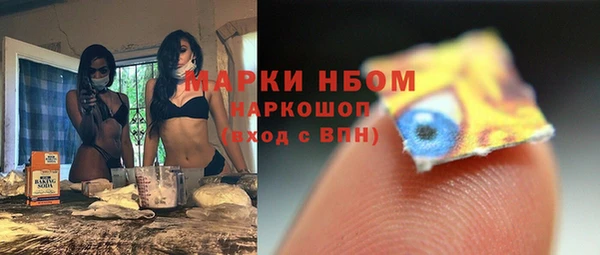 гашик Переславль-Залесский