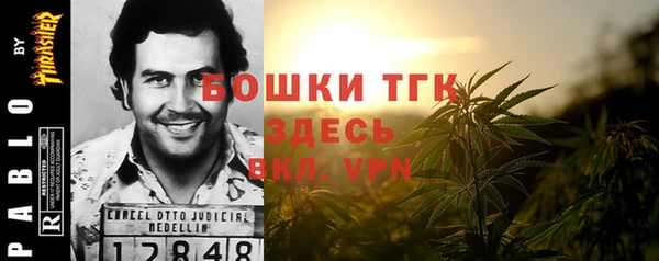 гашик Переславль-Залесский