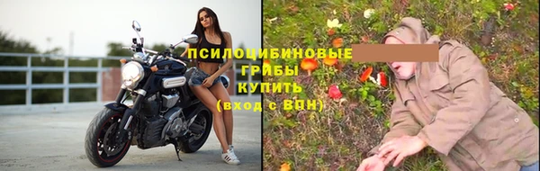 винт Пестово