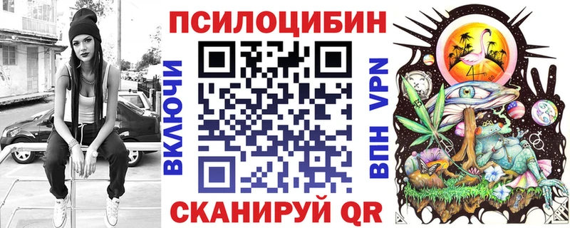 Псилоцибиновые грибы Cubensis  Туапсе 